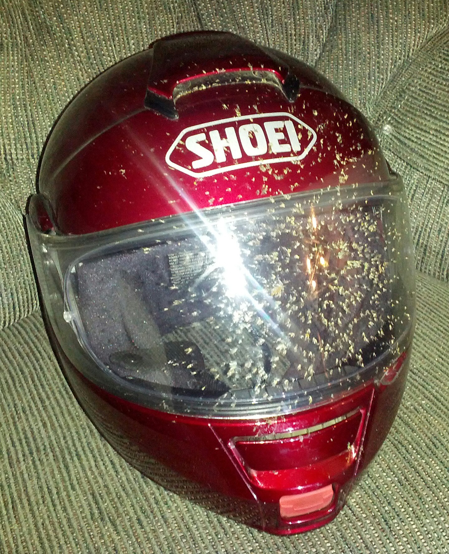 helmet covered in bugs